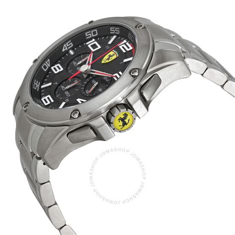 paddock watch price